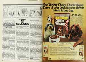 Better Homes & Gardens August 1977 Magazine Article: Page 70