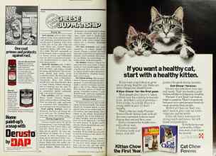 Better Homes & Gardens August 1977 Magazine Article: Page 86