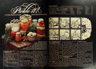 Better Homes & Gardens August 1977 Magazine Article: Page 110