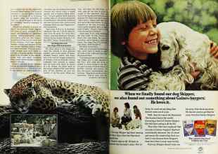 Better Homes & Gardens August 1977 Magazine Article: Page 142