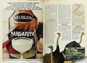 Better Homes & Gardens August 1977 Magazine Article: Page 144