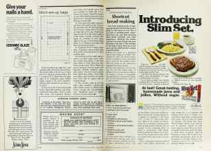 Better Homes & Gardens August 1977 Magazine Article: Page 156