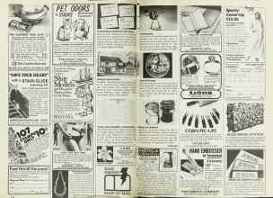 Better Homes & Gardens August 1977 Magazine Article: Page 172