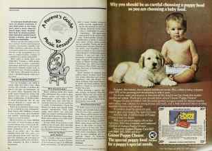 Better Homes & Gardens September 1977 Magazine Article: Page 64