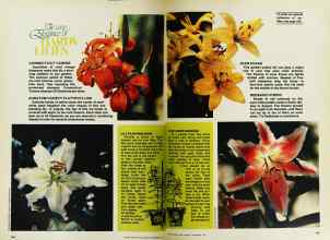 Better Homes & Gardens September 1977 Magazine Article: Page 142