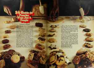 Better Homes & Gardens September 1977 Magazine Article: Page 144