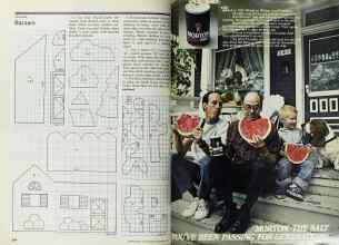 Better Homes & Gardens September 1977 Magazine Article: Page 204