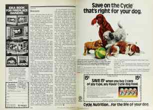 Better Homes & Gardens September 1977 Magazine Article: Page 206