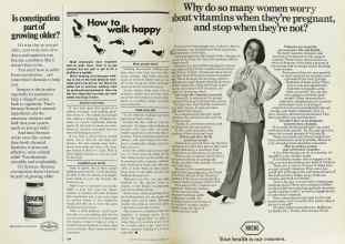 Better Homes & Gardens September 1977 Magazine Article: Page 234