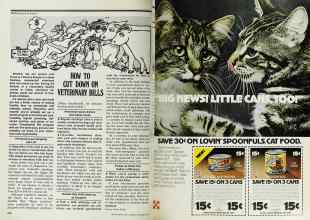 Better Homes & Gardens September 1977 Magazine Article: Page 240