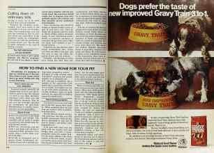 Better Homes & Gardens September 1977 Magazine Article: Page 242