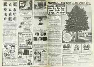 Better Homes & Gardens September 1977 Magazine Article: Page 254