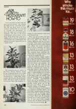 Better Homes & Gardens October 1977 Magazine Article: HOUSEPLANT HOW-TO