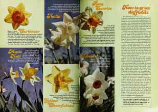 Better Homes & Gardens October 1977 Magazine Article: Page 90