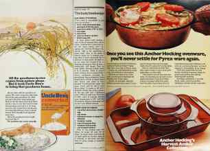 Better Homes & Gardens October 1977 Magazine Article: Page 164