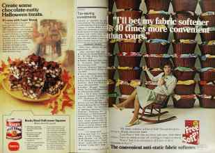 Better Homes & Gardens October 1977 Magazine Article: Page 208