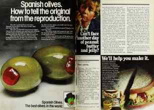 Better Homes & Gardens October 1977 Magazine Article: Page 220