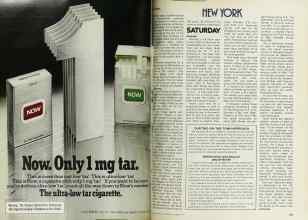 Better Homes & Gardens October 1977 Magazine Article: Page 234