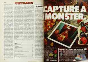 Better Homes & Gardens October 1977 Magazine Article: Page 244