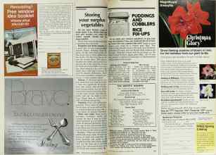 Better Homes & Gardens October 1977 Magazine Article: Page 250