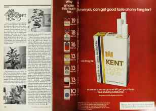 Better Homes & Gardens October 1977 Magazine Article: Page 262