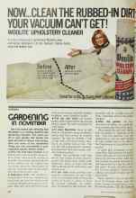 Better Homes & Gardens November 1977 Magazine Article: GARDENING IN NOVEMBER