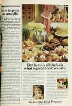 Better Homes & Gardens November 1977 Magazine Article: How to grow an amaryllis