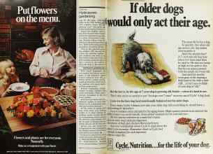 Better Homes & Gardens November 1977 Magazine Article: Page 106