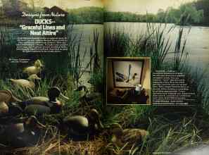Better Homes & Gardens November 1977 Magazine Article: Designs from Nature DUCKS--