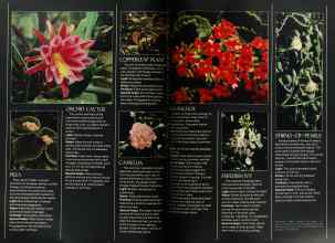 Better Homes & Gardens November 1977 Magazine Article: Page 144