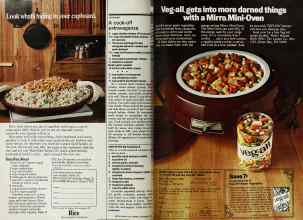 Better Homes & Gardens November 1977 Magazine Article: Page 166