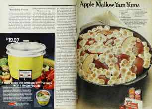 Better Homes & Gardens November 1977 Magazine Article: Page 206