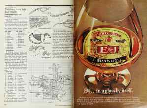 Better Homes & Gardens November 1977 Magazine Article: Page 220