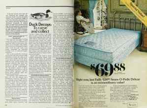 Better Homes & Gardens November 1977 Magazine Article: Page 224