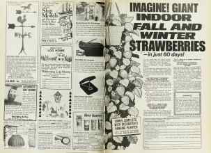 Better Homes & Gardens November 1977 Magazine Article: Page 276