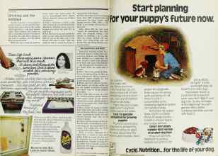 Better Homes & Gardens December 1977 Magazine Article: Page 12