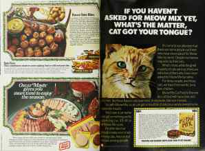 Better Homes & Gardens December 1977 Magazine Article: Page 82