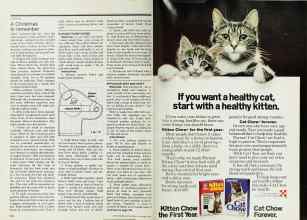 Better Homes & Gardens December 1977 Magazine Article: Page 170