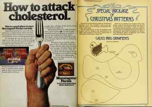 Better Homes & Gardens December 1977 Magazine Article: Page 194