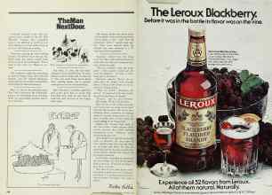 Better Homes & Gardens December 1977 Magazine Article: Page 224