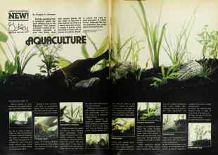 Better Homes & Gardens January 1978 Magazine Article: AQUACULTURE