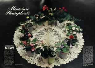 Better Homes & Gardens January 1978 Magazine Article: Miniature Houseplants