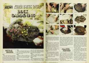 Better Homes & Gardens January 1978 Magazine Article: ROCK GARDENING