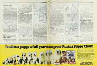 Better Homes & Gardens January 1978 Magazine Article: Page 132