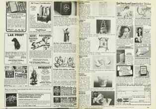 Better Homes & Gardens January 1978 Magazine Article: Page 164