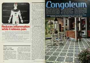 Better Homes & Gardens February 1978 Magazine Article: Page 22