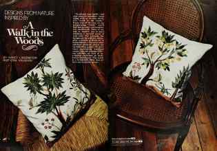 Better Homes & Gardens February 1978 Magazine Article: A Walk in the Woods