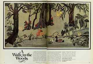 Better Homes & Gardens February 1978 Magazine Article: Page 46