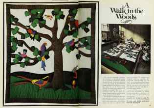 Better Homes & Gardens February 1978 Magazine Article: Page 48