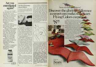 Better Homes & Gardens February 1978 Magazine Article: Page 80